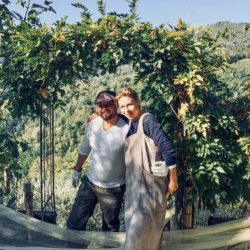 Trffelolie lavet p hvide trfler