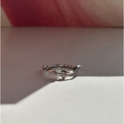 Flow Ring with Two Stones Silver