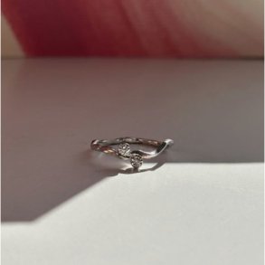 Flow Ring with Two Stones Silver