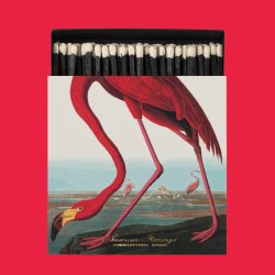 American Flamingo Matches