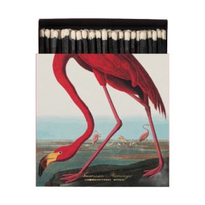 American Flamingo Matches
