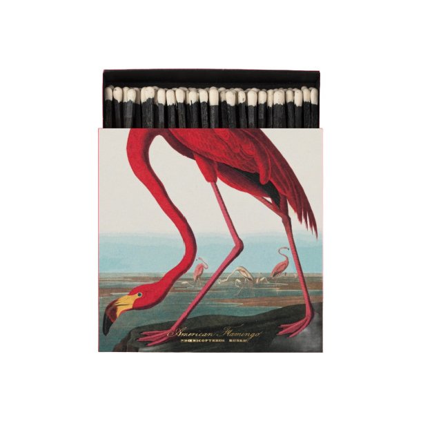 American Flamingo Matches