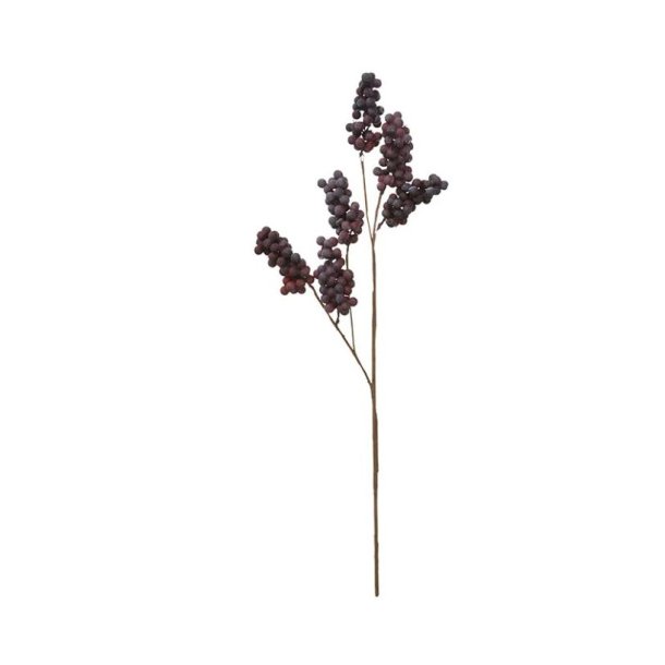 Berry Branch - Fig