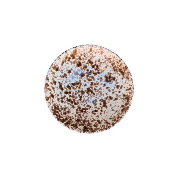 H�j Salatsk�l Macchiettato Brun � �25 x H9 cm