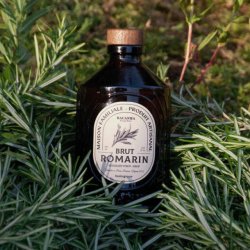 Brut Romarin Syrup - Organic