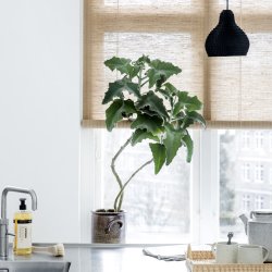 Bambus rullegardin - brun plante 