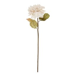 Dahlia Alauna Flower - Nude