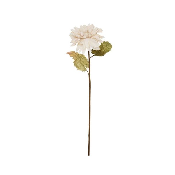 Dahlia Alauna Flower - Nude