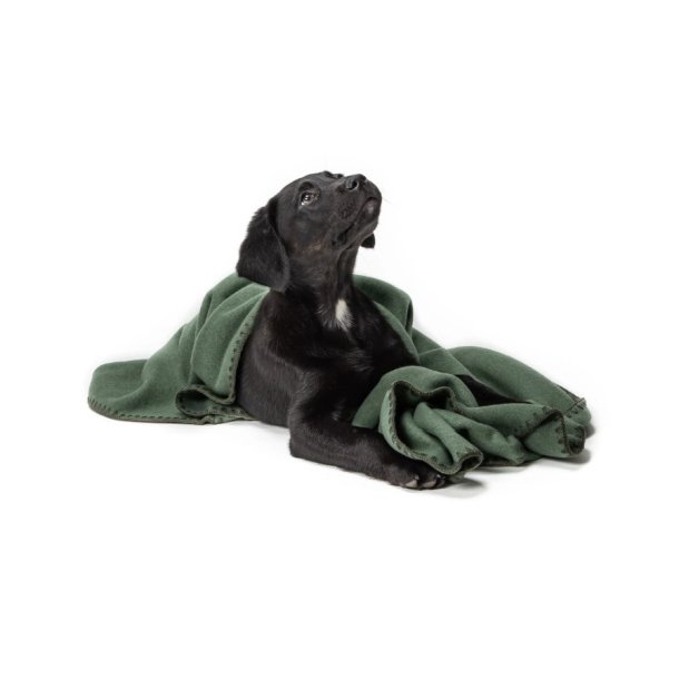 Dog Blanket Soft Fleece - Dusty Green