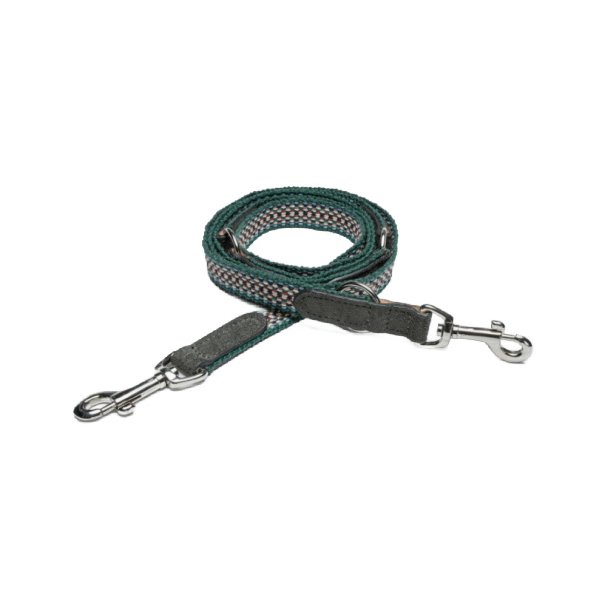 Dog Leash Prater Forest