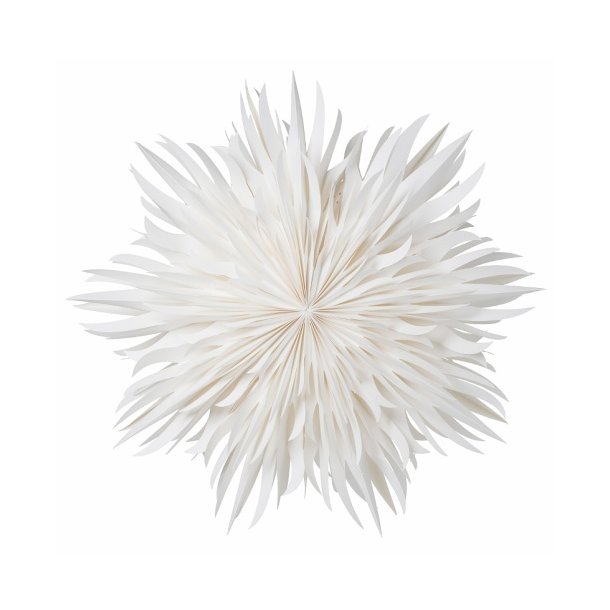 Eldig - white