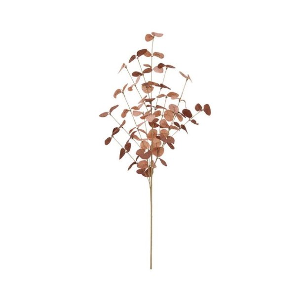 Eucalyptus - Cerise