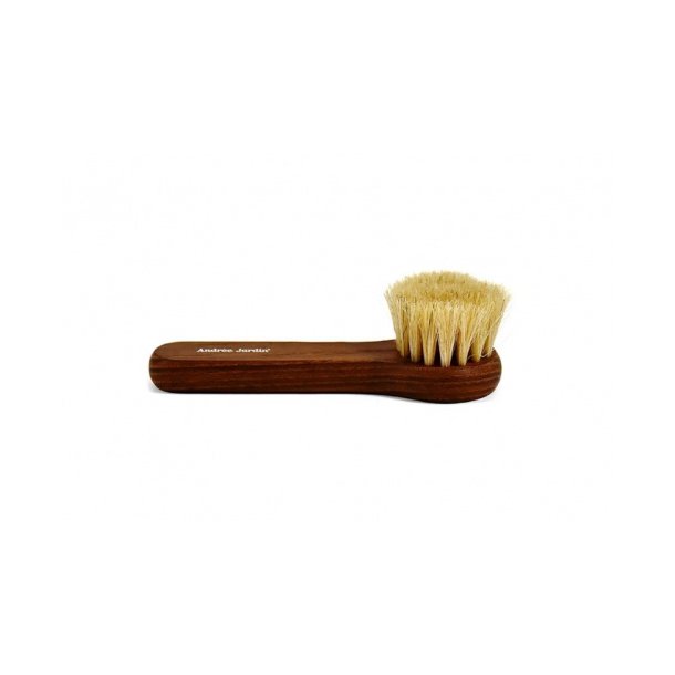 Tradition face cleaning brush 
