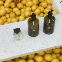 No Vacancy Crme  Hnd- &amp; Kropscreme