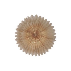 Papirstjerne Lotus 44 Beige