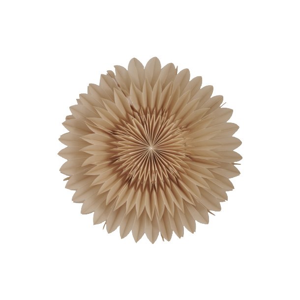 Lotus - beige