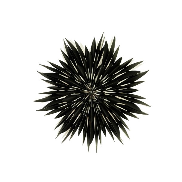 Maja - black