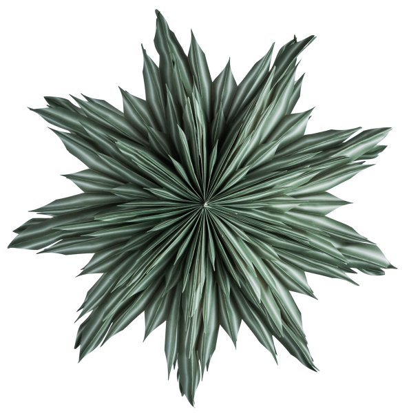 Helena - green