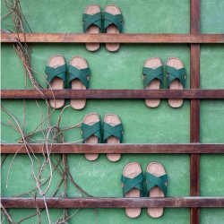 Shangies unisex sandaler - groovy grass