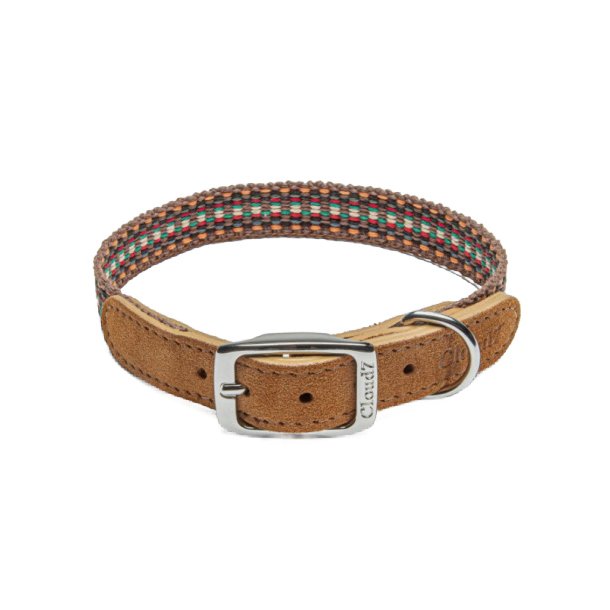 Dog Collar Prater Sunset