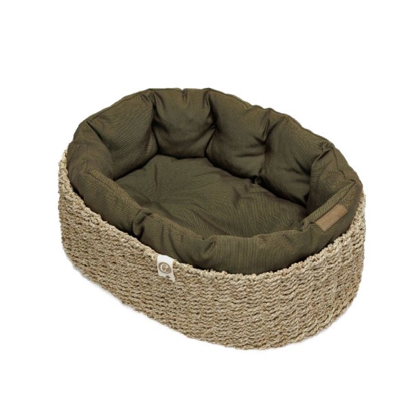 Dog Basket Lazy Canvas - Olive