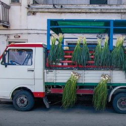 Easy Pasta  Osteria 16