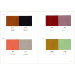 A Dictionary of Color Combinations - Vol1