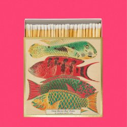 Fish Matches