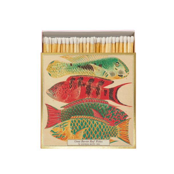 Fish Matches