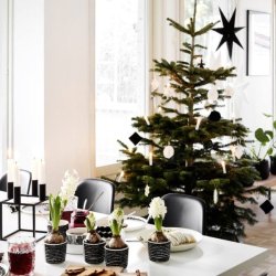 Happy homes - Christmas