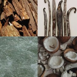 Hazy Vanille  Roll-on Parfumeolie