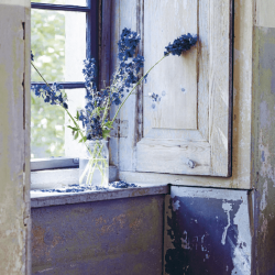 In the Mood for Colour