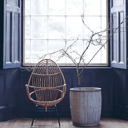 In the Mood for Colour