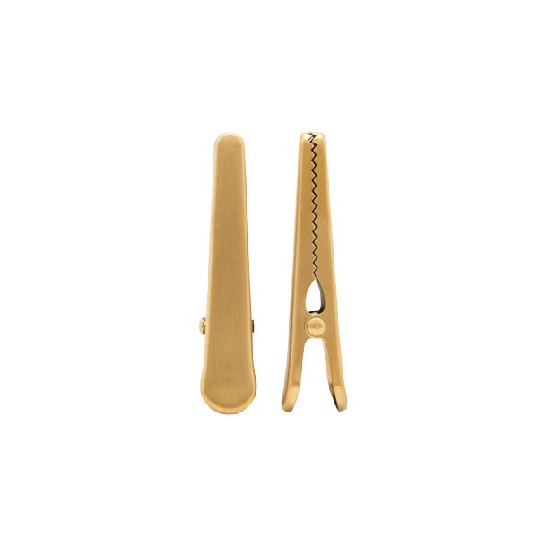 Klips - gold 