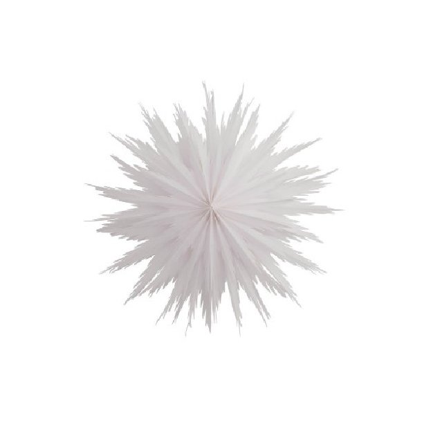 Papirstjerne Liz 50 White