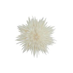 Papirstjerne Maja 50 White