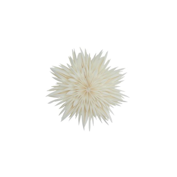 Papirstjerne Maja 50 White