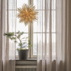 Papirstjerne Maja 50 White