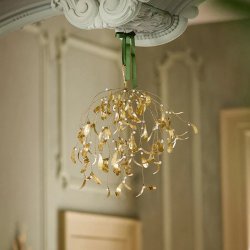 Golden hanging mistletoe - X Large - 30 Stems