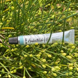 No03 Ambrettoloid  Hvid Musk