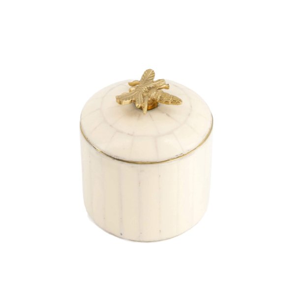  Queen Bee Circus Box