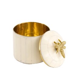  Queen Bee Circus Box