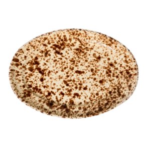 Serveringsfad Macchiettato Brun � 41 cm