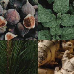 The House Cologne � Minted Fig (Room Spray)