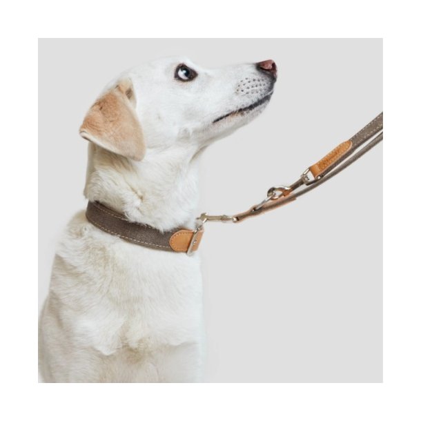 Dog Collar Tivoli Greige