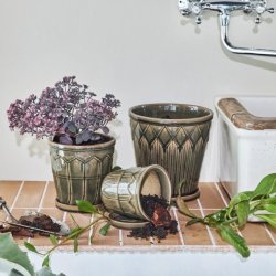 Urtepotter Cora � S�t med 3